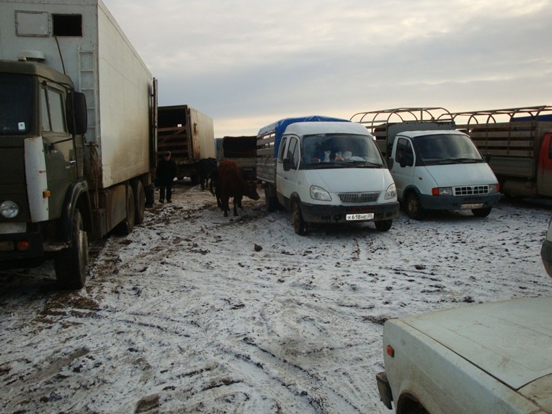 Проверки на рынках выявили нарушения требований ветеринарного законодательства