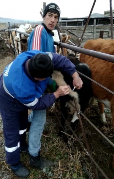 Мероприятия в Карабудахкентском районе