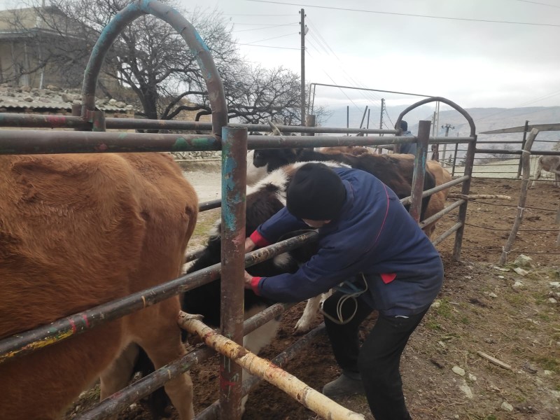 Плановые профилактические мероприятия