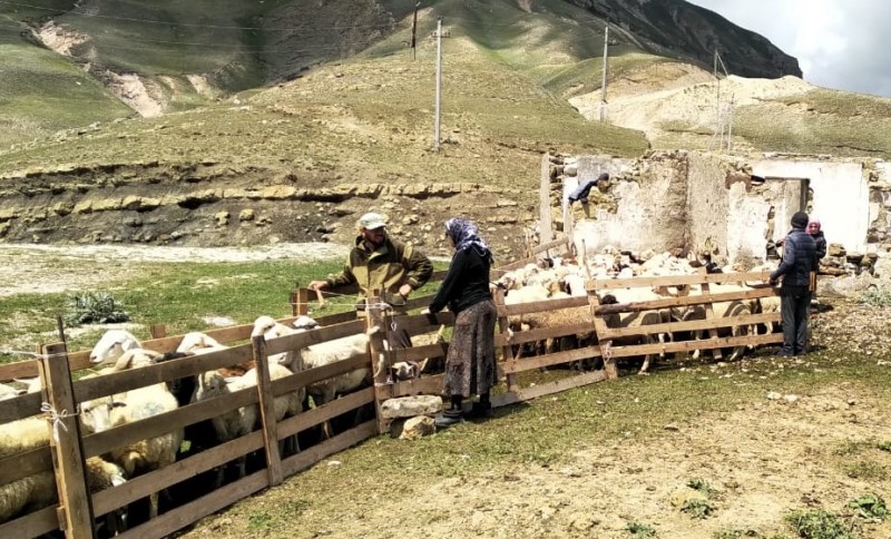 Трудности на пути перегона