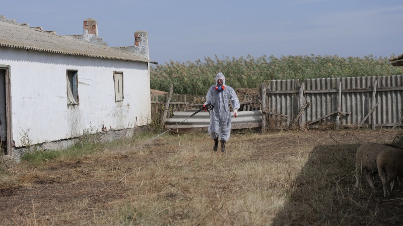 Учения по ликвидации условного очага оспы овец