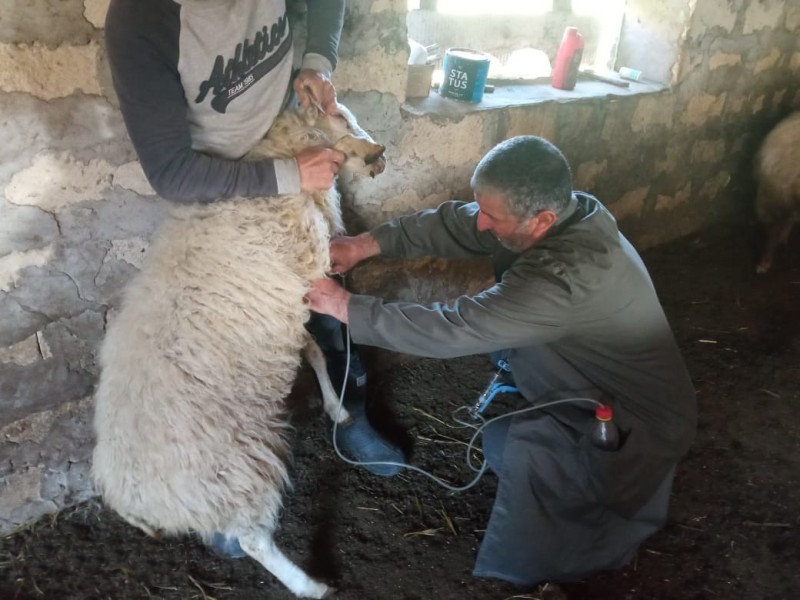 Ветеринарные мероприятия в Хивском районе