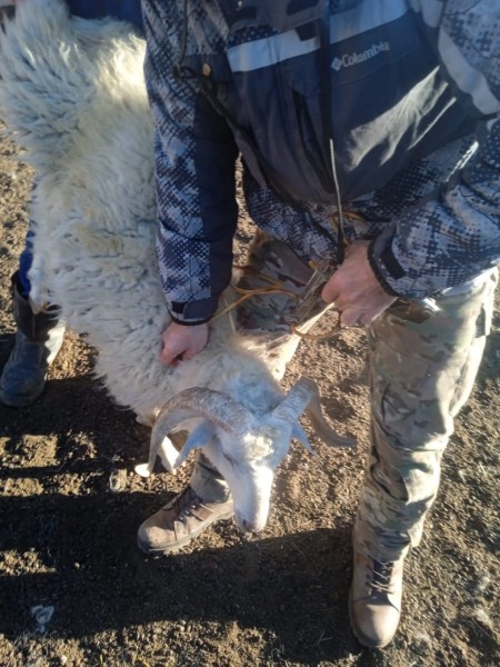 Плановые профилактические и диагностические мероприятия