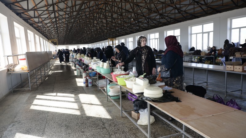 Мониторинг деятельности ООО «Манасская ярмарка»