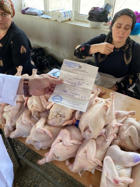 Мониторинг на ООО «Манасская ярмарка»