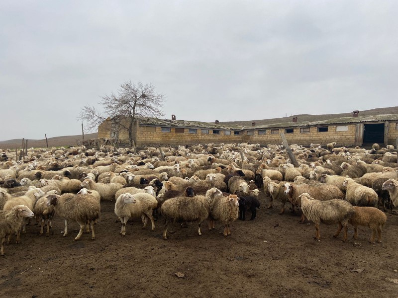 Рабочая поездка в Дербентский район