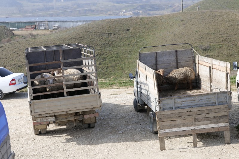 Мониторинговые мероприятия на ООО «Манасская ярмарка» и СПоК сельхозярмарка «Загородный»