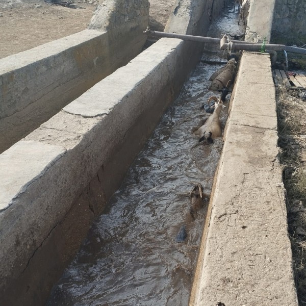 Мониторинговые мероприятия на купочных ваннах