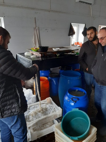 Информация Северного отдела мониторинга эпизоотического и ветеринарно-санитарного благополучия территории