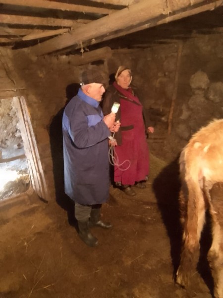 В населенных пунктах Чародинского района идут профилактические, диагностические ветеринарные мероприятия