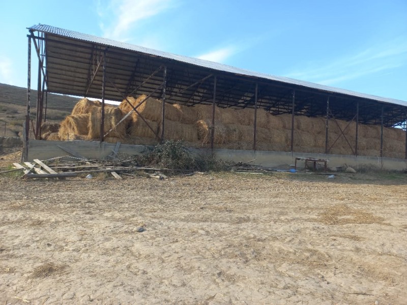 Мониторинговые мероприятия в племенном хозяйстве