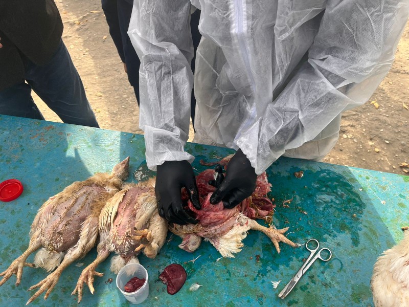 Учения в Бабаюртовском районе