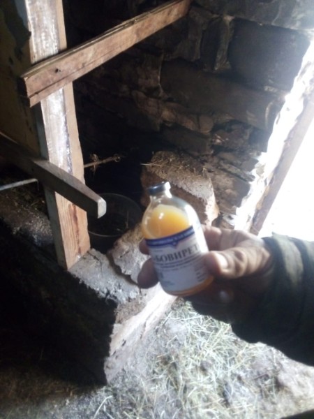 Ветеринарные мероприятия Агульском районе