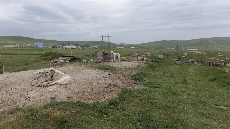 Выездное мероприятие