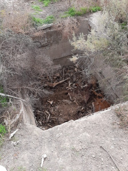 Информация Северного отдела мониторинга эпизоотического и ветеринарно-санитарного благополучия территории