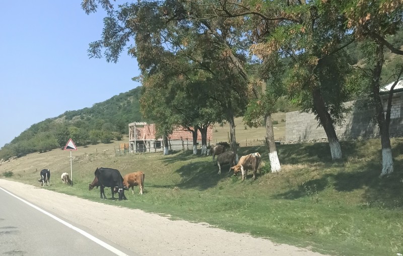 Рассмотрение жалобы гражданина с. Дылым