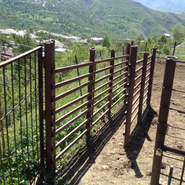 Введены в эксплуатацию объекты ветеринарно-санитарного назначения