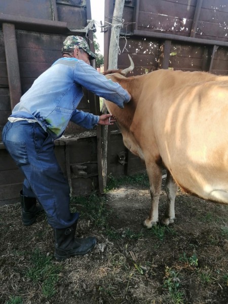 Вести с Ногайского района