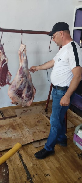 Ветеринарные мероприятия в Тарумовском районе