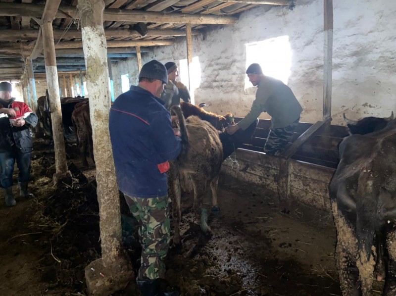 Рабочая поездка председателя Комитета в Бабаюртовский район