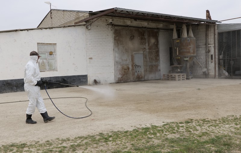 Комитетом по ветеринарии РД проведено очередное учение по ликвидации условного очага особо опасного заболевания