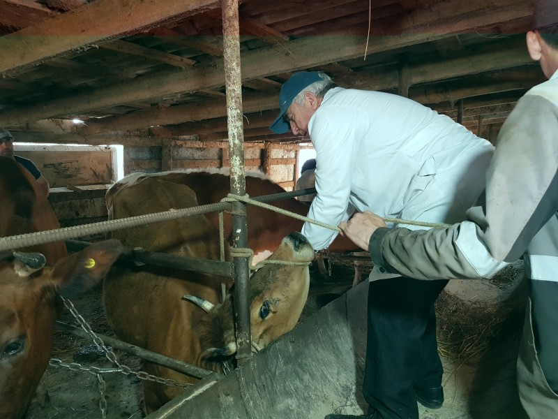 Оздоровительные мероприятия в неблагополучных пунктах города Махачкалы