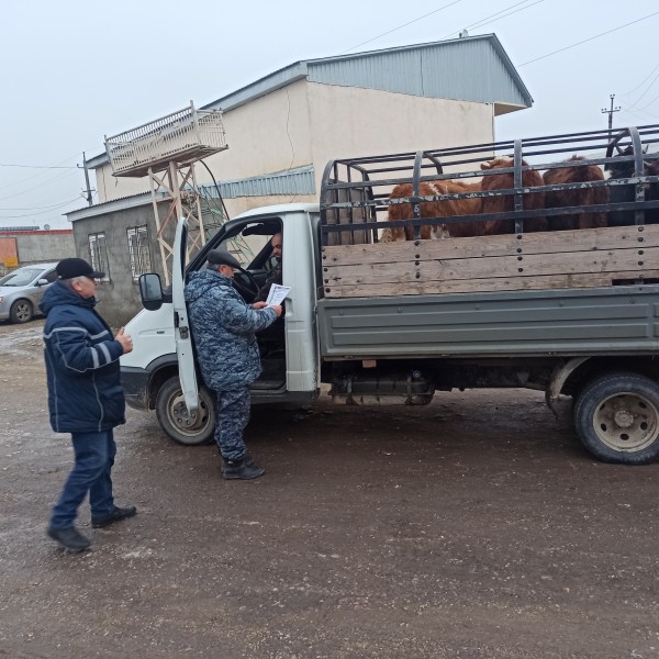 Мониторинговые мероприятия на рынках Хасавюртовском района