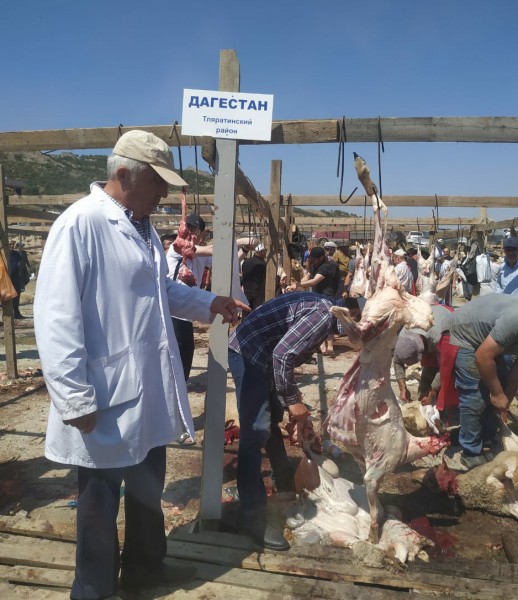 Благодарность муфтията Республики Дагестан