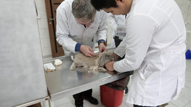 Ветстанция Ленинского района города Махачкалы