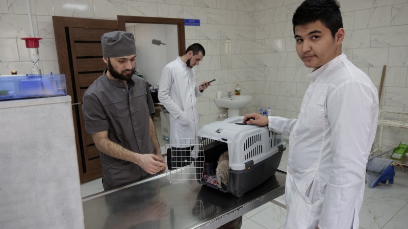 Ветстанция Ленинского района города Махачкалы