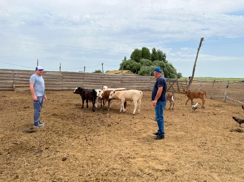 Контроль эпизоотической ситуации в Тарумовском районе