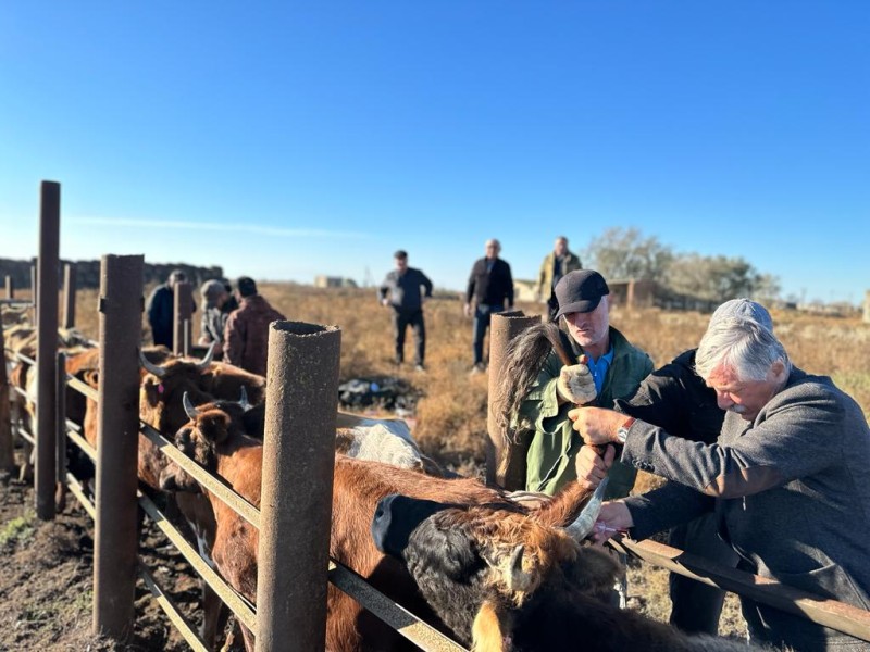 Председатель Комитета ознакомился с ходом проведения ветеринарных мероприятий на землях отгонного животноводства