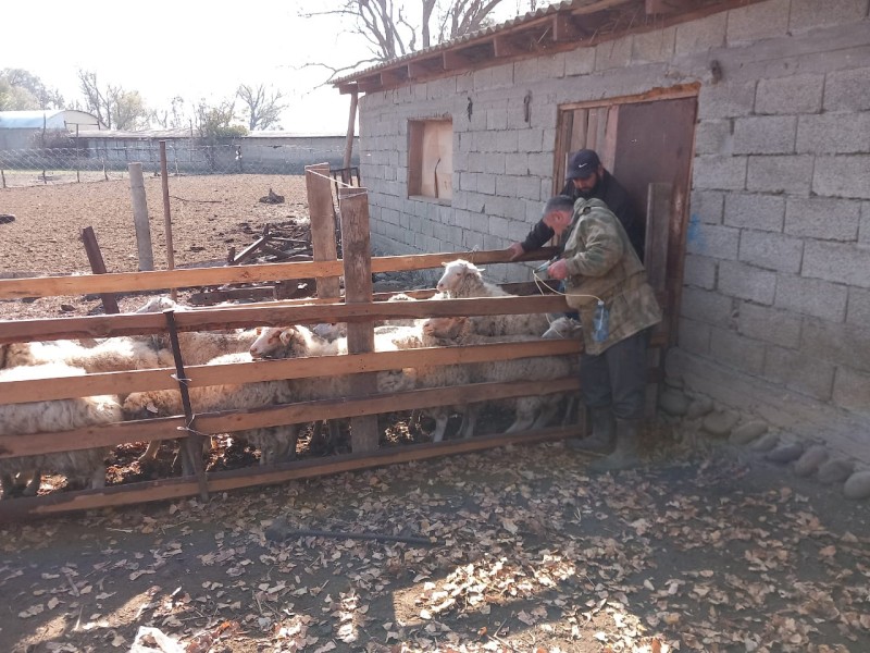 Плановые профилактические мероприятия