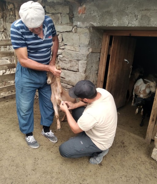 В Гумбетовском районе подвели итоги работы за первое полугодие