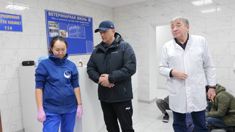 В Махачкале прошла акция «День бесплатной стерилизации бездомных животных»