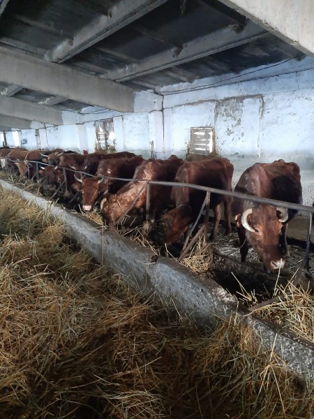 Мониторинговые мероприятия северного межрайонного отдела