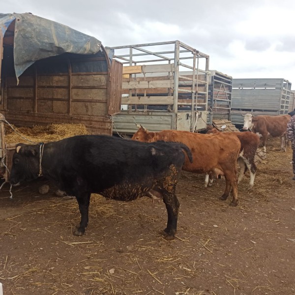 Работа Хасавюртовского отдела мониторинга