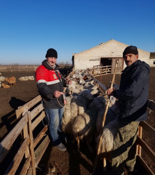 Плановые профилактические и диагностические мероприятия