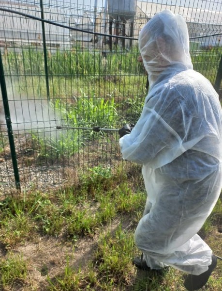 Дезинфекционные мероприятия