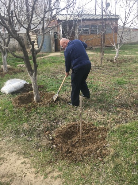 О проведении субботника