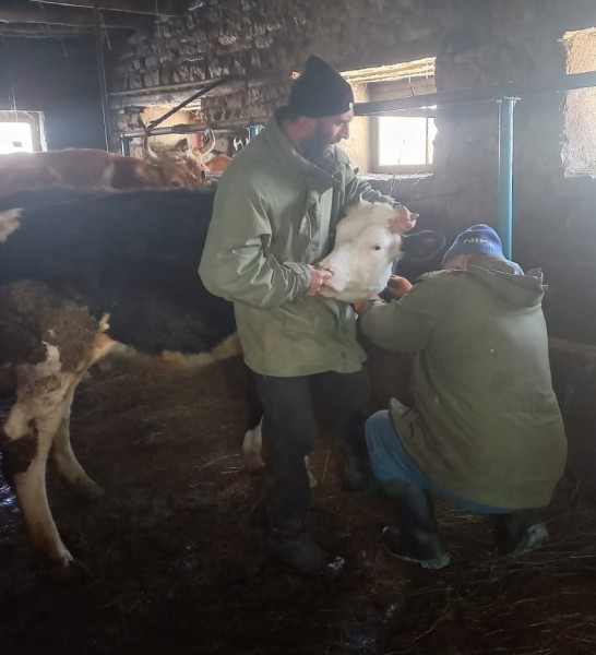 Ветеринарные мероприятия в Хивском районе