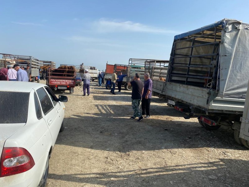 Мониторинговые мероприятия на рынках Хасавюртовского района