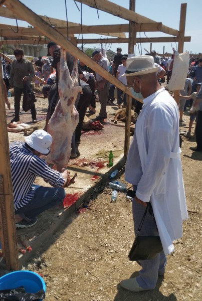 Благодарность муфтията Республики Дагестан