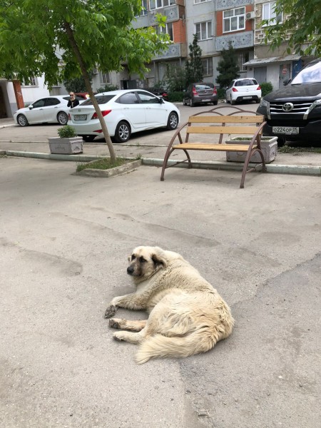 Мониторинговые мероприятия в Махачкале