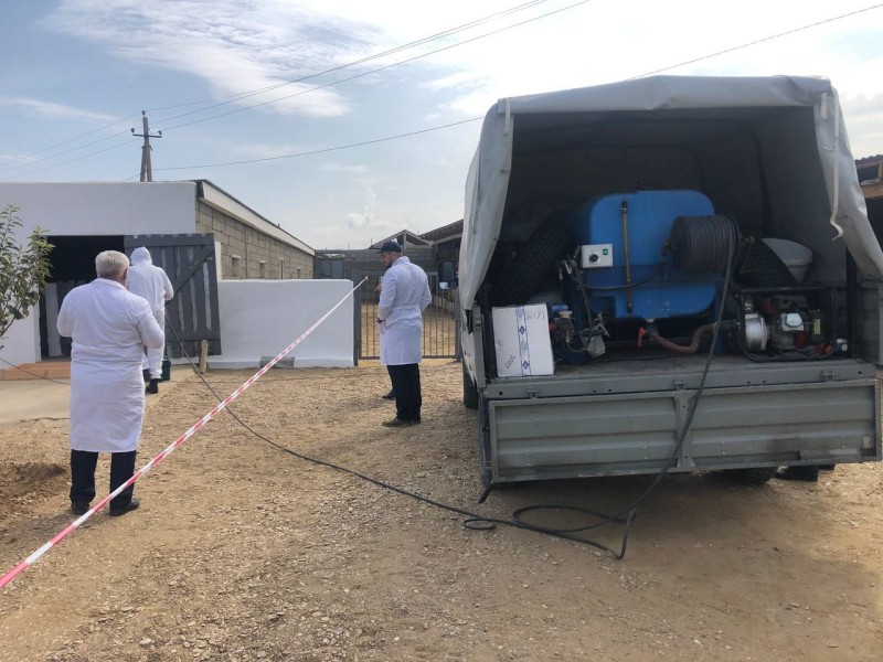 Региональные командно-штабные учения по локализации и ликвидации условного очага бешенства