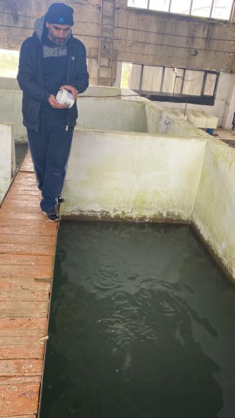 Внеплановое обследование деятельности рыбного хозяйства СПК «Форель Дагестана»