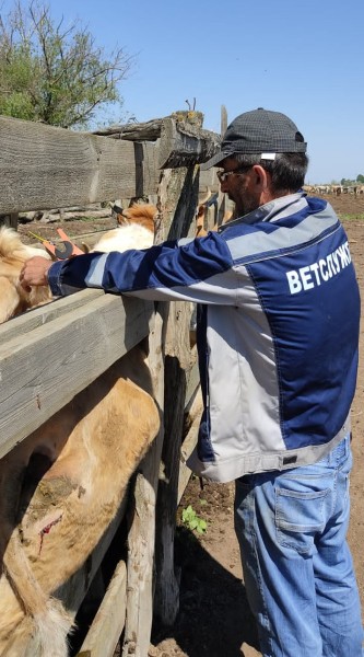 Мониторинговые мероприятия северного межрайонного отдела