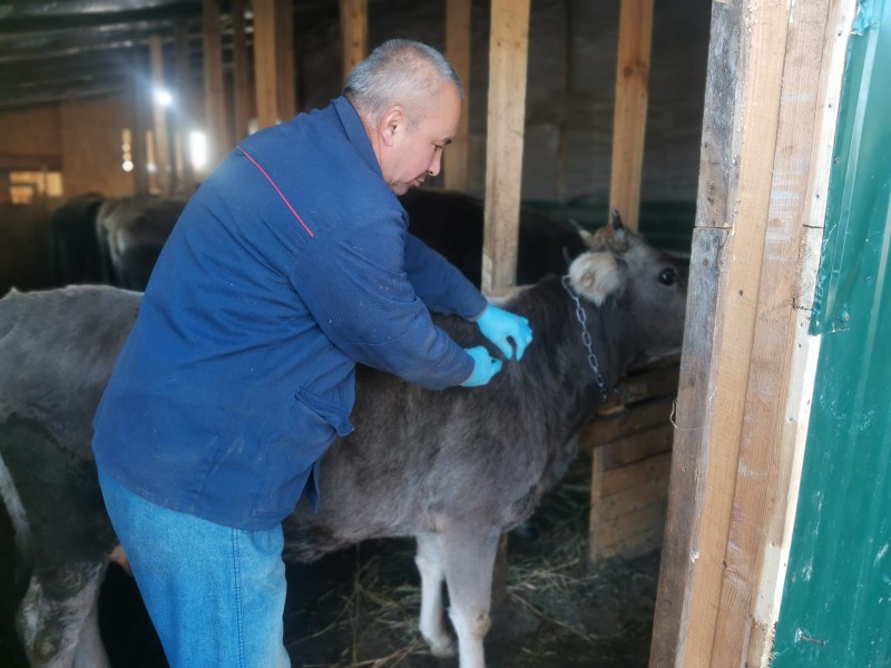 Плановые профилактические мероприятия