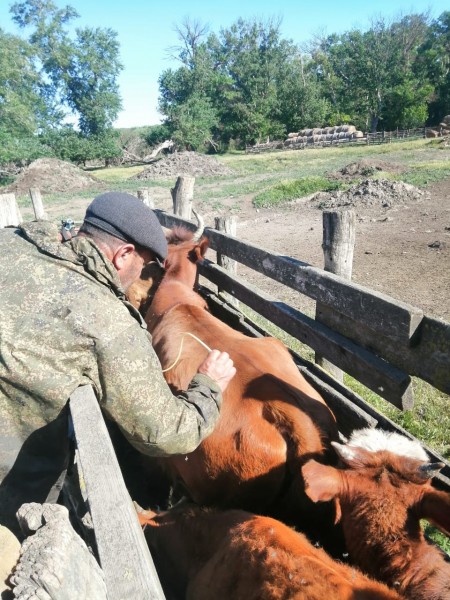 В Хунзахском районе продолжаются весенние ветеринарно-профилактические мероприятия