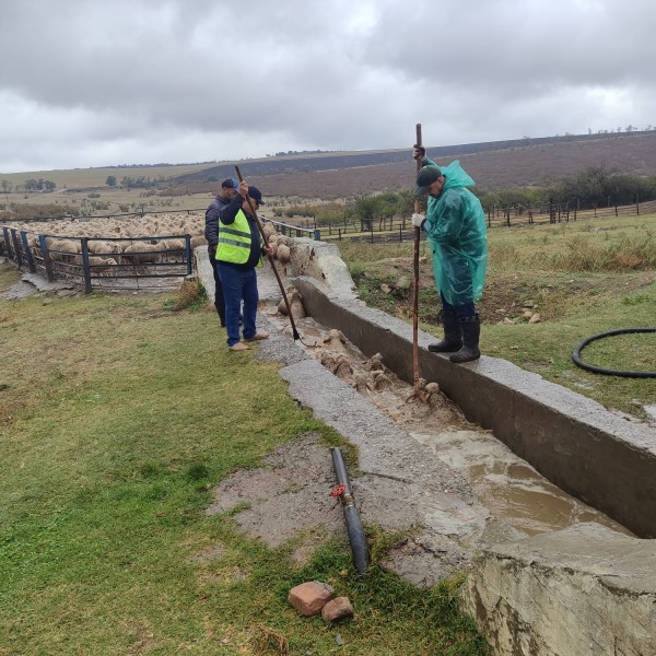 Мониторинговые мероприятия на купочных ваннах